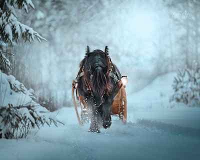 Fotograf Maria Lindberg