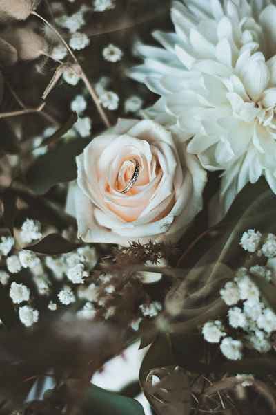 Maria Bodin Photography