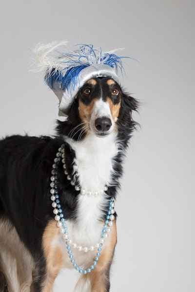 Fotograf Kristina Wendel